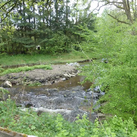 Am Eifelsteig * Roetgen