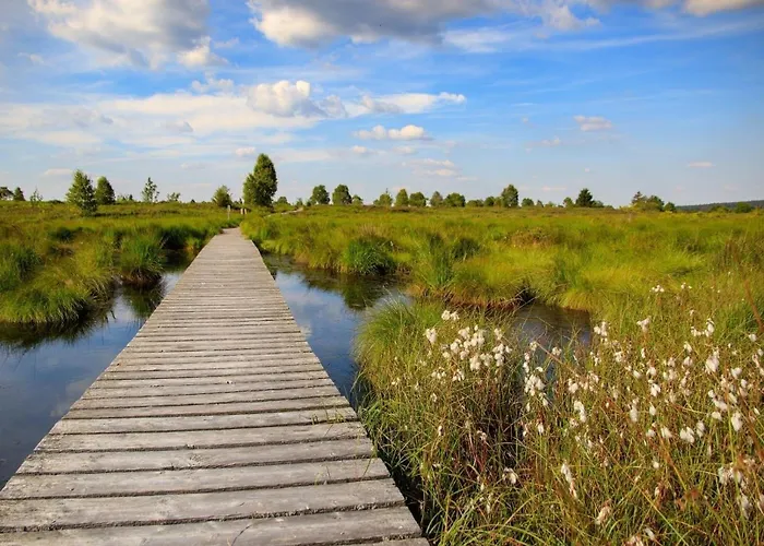 Am Eifelsteig Lejlighed Roetgen